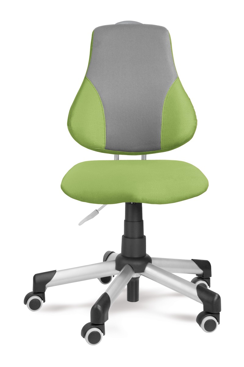 Dětská rostoucí židle Mayer ACTIKID A2 2428 43