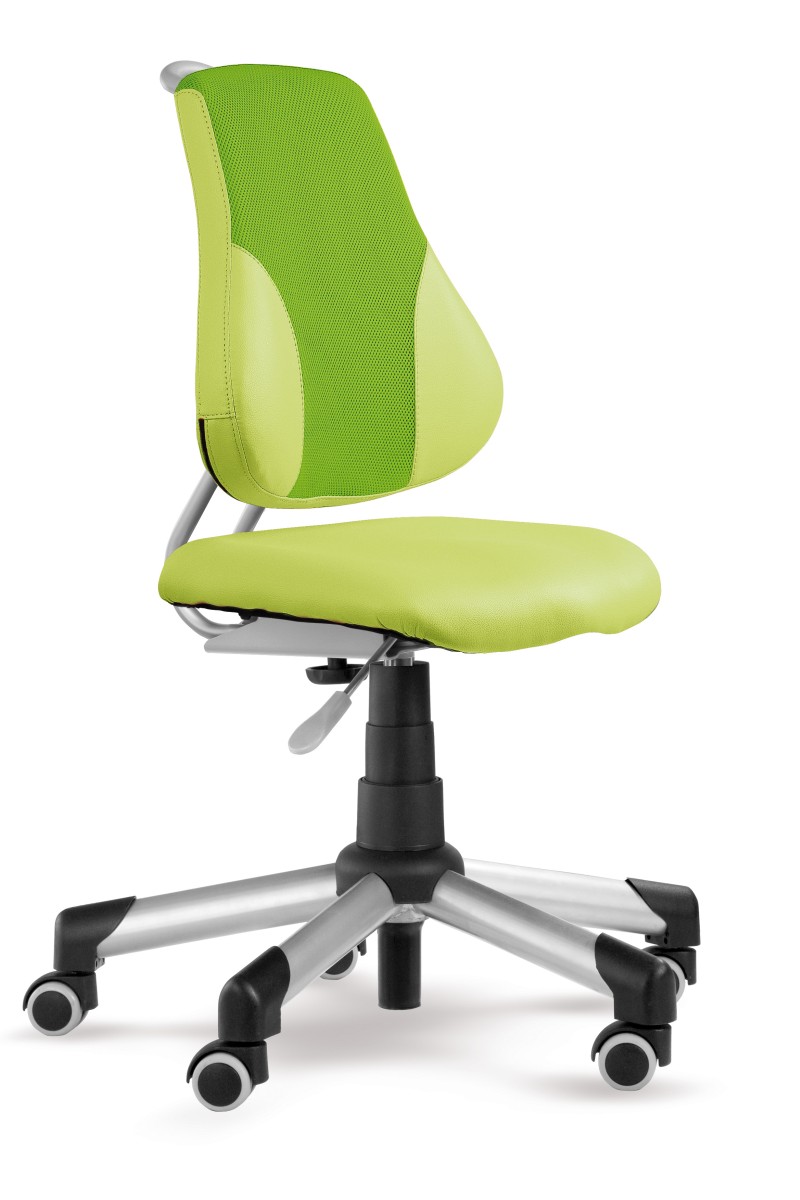 Dětská rostoucí židle Mayer ACTIKID A2 ECO 2428 13